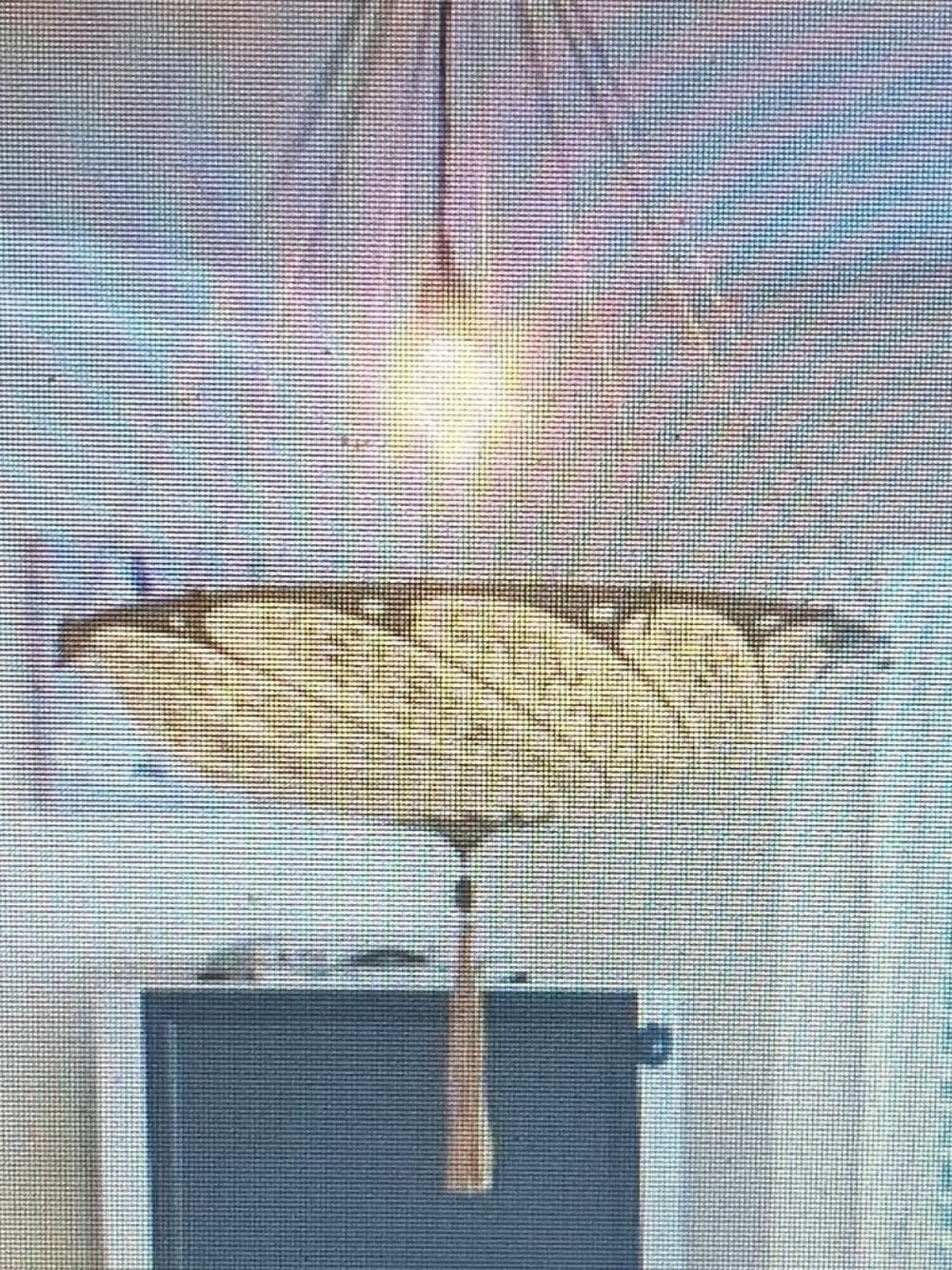 Fortuny Ceiling Lamp
